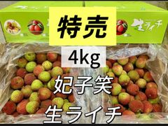 マツモト商店『6月7日〜10日お休み』 - メルカリShops