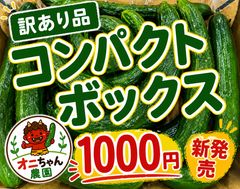 訳ありきゅうり 2kg 農家直送 新鮮＊愛媛県産 - メルカリ