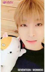 【中古】コレクションカード(男性) SEVENTEEN/WONWOO(ウォヌ)/「SEVENTEEN 2018 JAPAN ARENA TOUR ‘SVT’」会場限定 HMVブース CD＆DVD＆Blu-ray購入特典オリジナルコラボカード