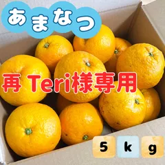 再【Teri様専用】福岡県産 あまなつ 甘夏みかん 5kg