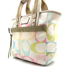 【希少】COACH y2k multicolored handbag canvas signature