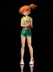 ポケットモンスター スケールワールド タケシ 傷あり品 出品