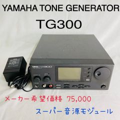 送料込み タキガワ PINOCCHIO TG-3700 美顔器フェイシャルマシン