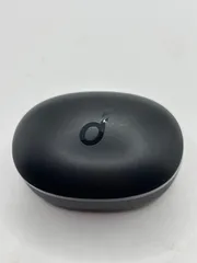 Anker Soundcore Life P2 Mini ケース　ブラック　アンカー　サウンドコア　イヤホン