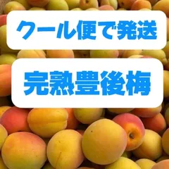 完熟豊後梅，Lサイズ以上，5キロ箱込み(7 月中旬から順次発送予定)