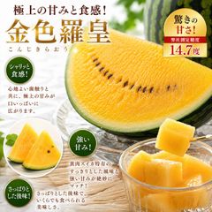 金色羅王2玉 熊本植木西瓜 贈答用 - メルカリ