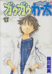 全て初版】ガウガウわー太 全11巻 わー太2全5巻 梅川和美 【全巻セット