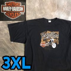 00s WWF DUDLEY BOYZ DEATH DROP Tシャツ フェード - メルカリ
