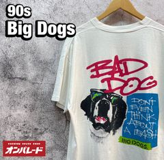 00s 豚 アニマル GOIN