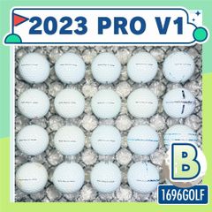 ロストボール タイトリスト PRO V1X Bランク 90 20球 おまけ付 - メルカリ