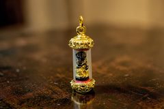 冬虫夏草 乾燥標本 オオセミタケ国産きのこ 昆虫標本京都宇治産①