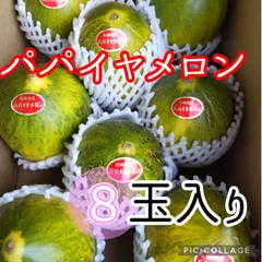 長崎県島原半島産パパイヤメロン8玉入りのサムネイル