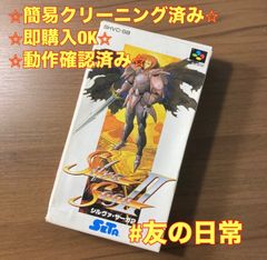 貴重！スーパーファミコン シルヴァ・サーガⅡ 箱説明書付き SETA