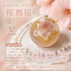 メルカリ市最終価格】姫野翔太 作家鉢 植木鉢 塊根植物 アガベ 鉢