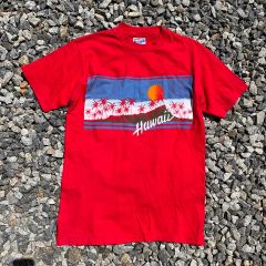 90s JERZEES NORTH SHOREサーフtシャツシャドーマンUSA製 - メルカリ