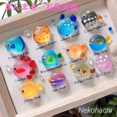 シーグラスアート☆No.467 図鑑 海の生き物 ギフトプレゼント