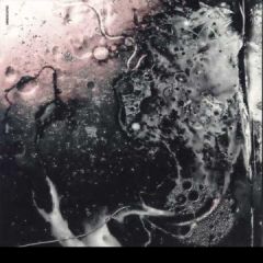 米2LP Incubus S.c.i.e.n.c.e.(180g) 88765405201 Epic, Immortal