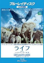 中古】 旅のおわり世界のはじまり [レンタル落ち] [DVD] - メルカリ