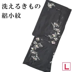 新品 絽 洗えるきもの 小紋 Lサイズ 黒 夏物 仕立て上がり プレタのサムネイル