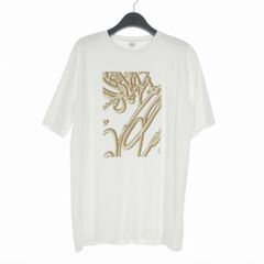 極美品✨ベルルッティ スエードエフェクト スクリット ロンT 23AW L 