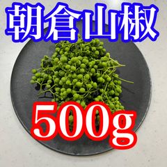 東北山形県産 実山椒 500g 柔らかい - メルカリ