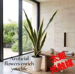 光触媒 人工観葉植物 ウォールグリーン フェイクグリーン アスプ 