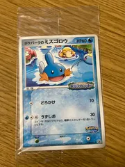 ポケパークのミズゴロウ 048/PCG-P スプラッシュアドベンチャー ポケパーク POKEPARK 非売品 未開封 プロモ プロモーションカードのサムネイル