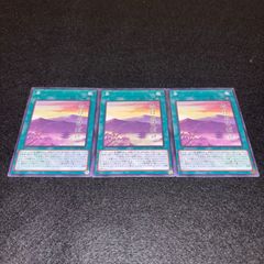 MTG 島/ アリーナリーグ配布 プロモ ベータ版 3枚セット MTG 島/Island アリーナリーグ配布 プロモ ベータ版 3枚セットDCI