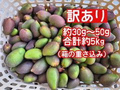 宮崎県産摘果マンゴー グリーンマンゴー5kg - メルカリ