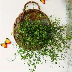 鉢・プランター ハンギングバスケット 観葉植物 つる植物 壁掛け かご ウォールポット フラワーバスケット  かわいい おしゃれ ナチュラル 北欧 モダン シンプル 高級感 インテリア 北欧 カフェ風 ガーデン装飾 ディスプレイ 1個
