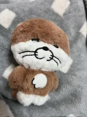 リウ ぬいぐるみ 出品 달링 쁘ネック also ソンホ(SUNGHO) ジェヒョン(JAEHYUN) テサン(TAESAN) イハン(LEEHAN) ウナク(WOONHAK)