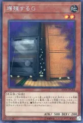 2026年最新】増殖するg 20thの人気アイテム - メルカリ
