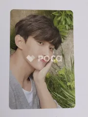 Seventeen ドギョム セブチ IN THE SOOP SEVENTEEN ver. GIFT