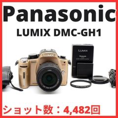 基本撮影セット】LUMIX DMC-GX1 ミラーレス一眼 - メルカリ