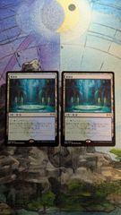 MTG 沸騰する小湖 - メルカリ
