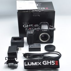 Panasonic LUMIX S1 ショット数146回 ほぼ新品 Panasonic LUMIX S1 ショット数146回 ほぼ新品 - メルカリ