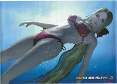 2026年最新】dead or alive ポスターの人気アイテム - メルカリ