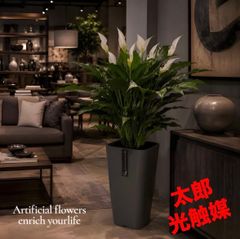 光触媒 人工観葉植物 ウォールグリーン フェイクグリーン ブラッサイア