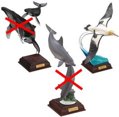 ネイチャーテクニカラー 小笠原 アホウドリ - メルカリ