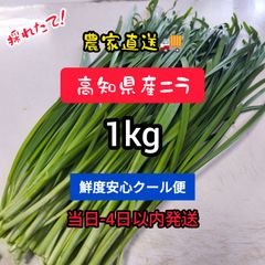 高知県産葉にんにく 葉ニンニク 産地直送1kg tpjgj - メルカリ