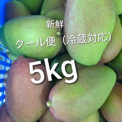 甘いグリーンマンゴー 5キロ クール便込み 沖縄県産 青マンゴー 5kg 摘果・グリーンマンゴー クール便 - メルカリ