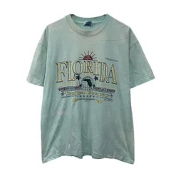 90s Hanes 半袖 プリントTシャツ L ライトグリーン ヘインズ プルオーバー 90年代 コットンポリ ビッグプリント 夏物 a805-5949のサムネイル