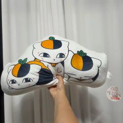 にゃんにゃんにゃんこ にゃんこ休み すいかにゃんこ ぬいぐるみ - メルカリ