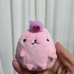 希少・未開封】赤ずきんチャチャ バードシールド 当時物 タカラ レトロ