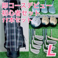 ゴルフクラブ フルセット プロギア入り 初心者 メンズ 12本 G3819