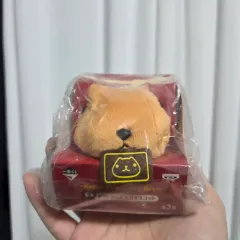 サンエックス カピバラ 伝承 漫画 キャラクター カピバラさん ぬいぐるみ グッズ バレンタイン