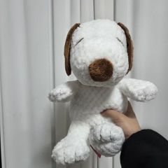 オルゴール スヌーピーと仲間たちのフィギュア - メルカリ