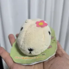 サンエックス カピバラ ゴー 古典 漫画 キャラクター カピバラさん ぬいぐるみ グッズ 花 装飾 白