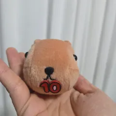 カピバラさん ぬいぐるみ グッズ 10周年記念