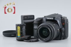 ☆初めての夏撮影に☆SONYα100レンズキット☆オマケ付き☆ - メルカリ